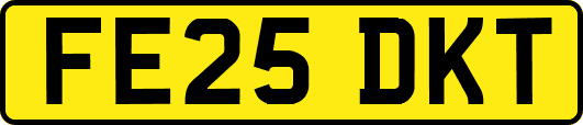 FE25DKT