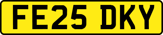 FE25DKY