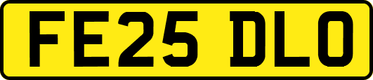 FE25DLO