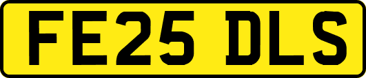 FE25DLS