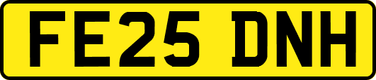 FE25DNH