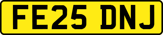 FE25DNJ