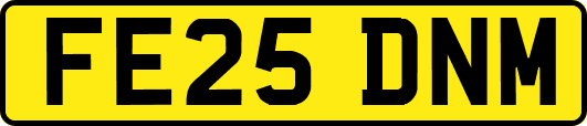FE25DNM
