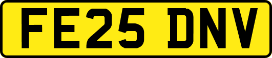 FE25DNV