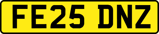 FE25DNZ