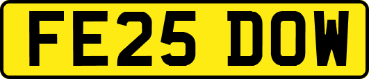 FE25DOW