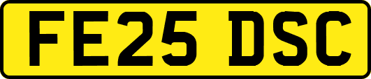 FE25DSC