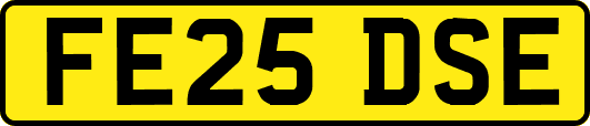 FE25DSE