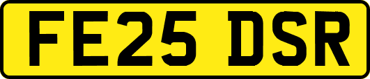 FE25DSR