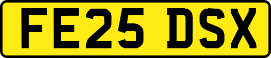 FE25DSX