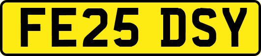 FE25DSY
