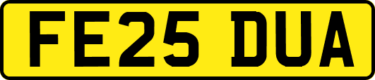 FE25DUA