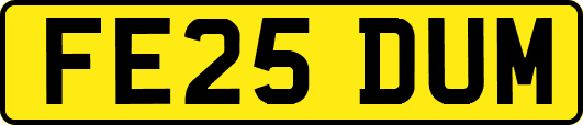 FE25DUM