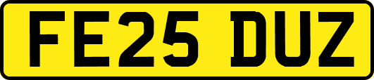 FE25DUZ