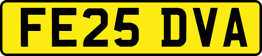 FE25DVA