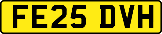 FE25DVH
