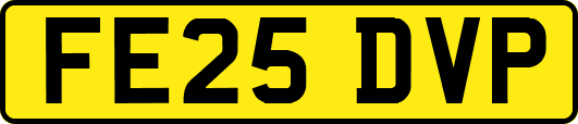 FE25DVP