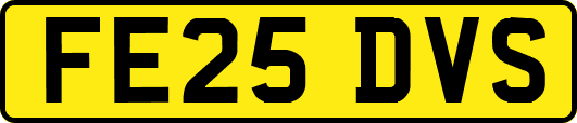 FE25DVS