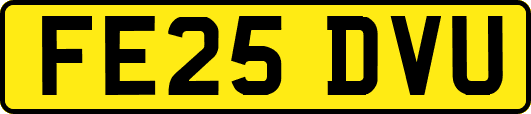 FE25DVU