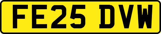 FE25DVW