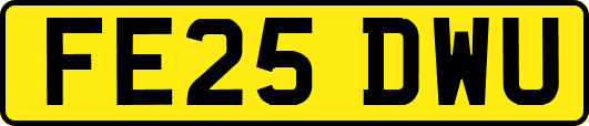 FE25DWU