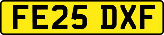 FE25DXF