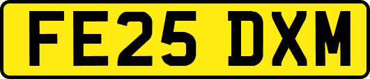 FE25DXM