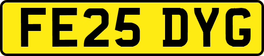 FE25DYG