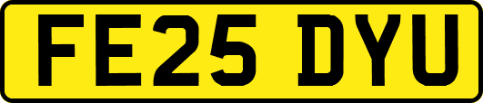 FE25DYU