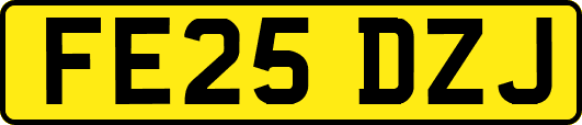 FE25DZJ