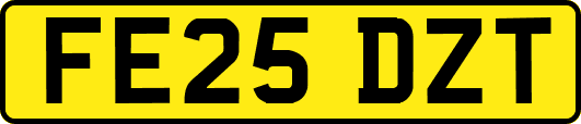 FE25DZT