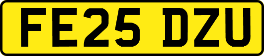 FE25DZU