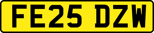 FE25DZW