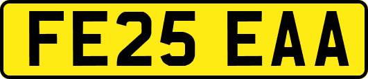 FE25EAA