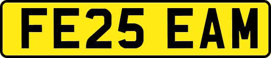 FE25EAM