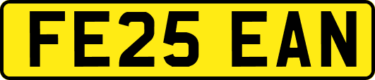 FE25EAN