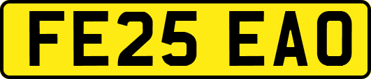 FE25EAO