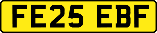 FE25EBF