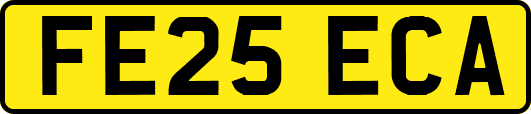 FE25ECA