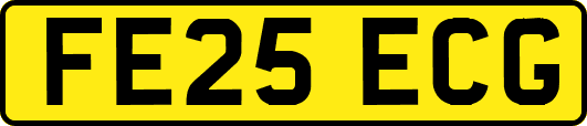 FE25ECG