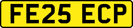 FE25ECP
