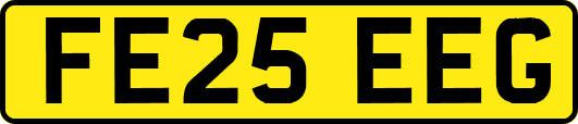 FE25EEG