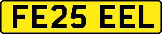 FE25EEL