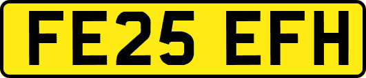 FE25EFH