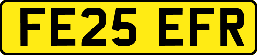 FE25EFR