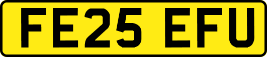 FE25EFU