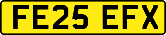 FE25EFX
