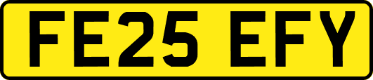 FE25EFY