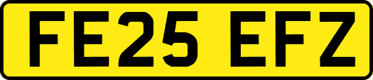 FE25EFZ