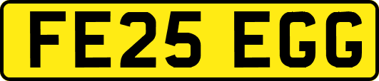 FE25EGG